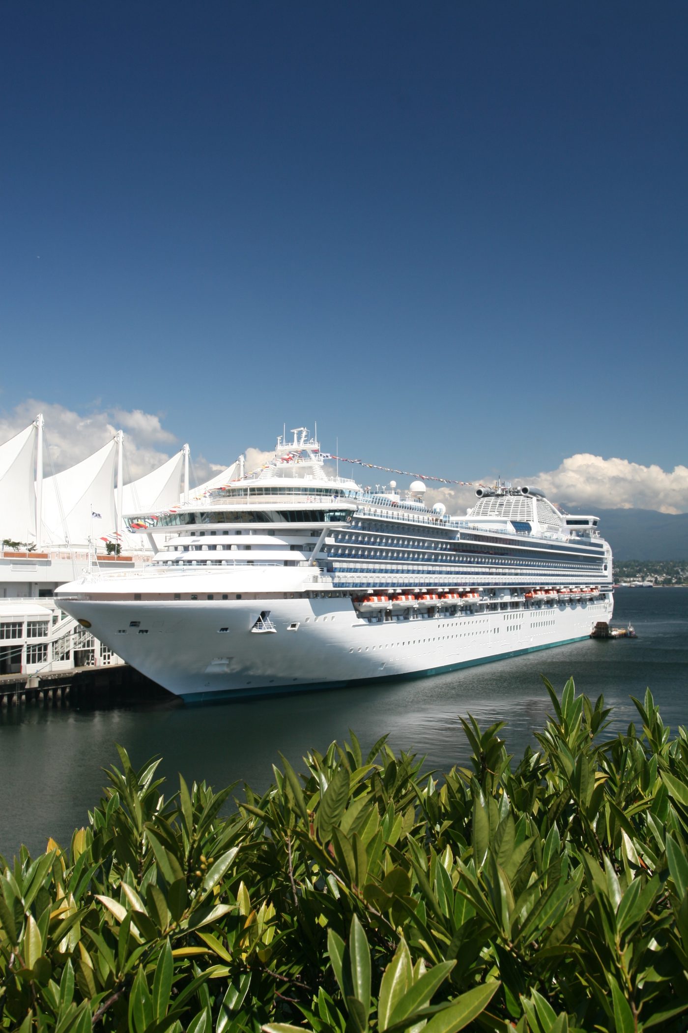 Cruise ship in port